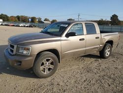 SUV salvage a la venta en subasta: 2010 Dodge Dakota SXT