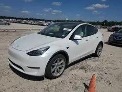 2023 Tesla Model Y en venta en Houston, TX