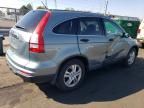 2010 Honda CR-V EX