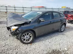 Ford Focus se salvage cars for sale: 2015 Ford Focus SE