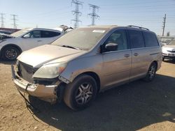 Salvage cars for sale at Elgin, IL auction: 2006 Honda Odyssey EXL