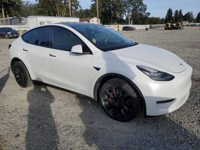 2021 Tesla Model Y