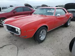 Salvage cars for sale at Arcadia, FL auction: 1968 Pontiac Firebird