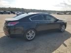 2010 Acura TL