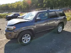 Toyota 4runner se salvage cars for sale: 2023 Toyota 4runner SE