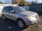 2008 Hyundai Santa FE SE