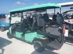 2024 Bintelli Golfcart