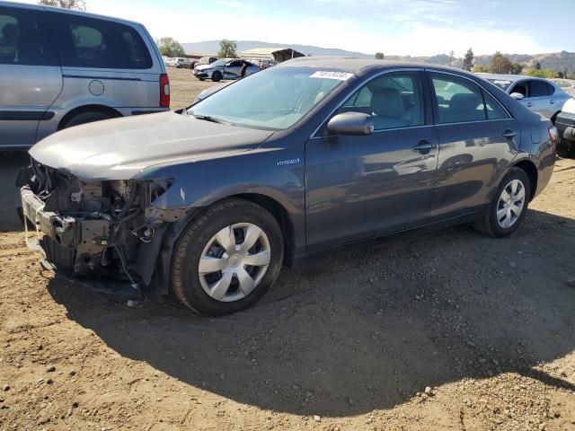 2009 Toyota Camry Hybrid