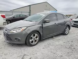 Salvage cars for sale at Lawrenceburg, KY auction: 2013 Ford Focus SE