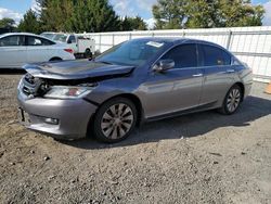 Salvage cars for sale from Copart Finksburg, MD: 2014 Honda Accord EXL