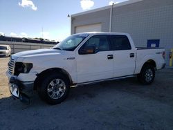 Ford salvage cars for sale: 2010 Ford F150 Supercrew