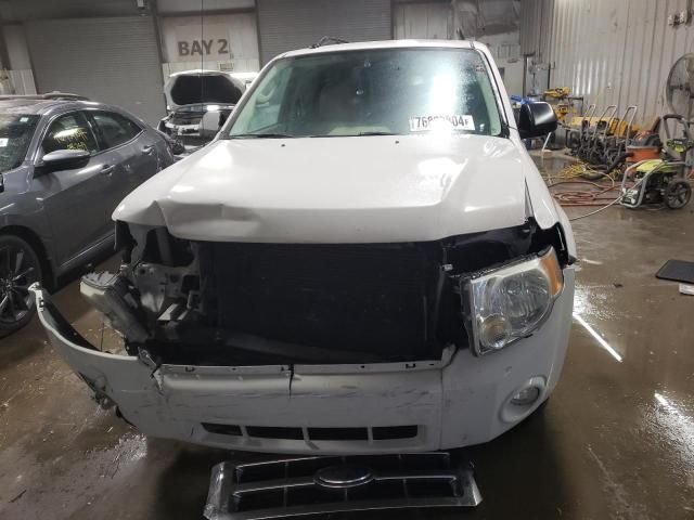 2009 Ford Escape XLT