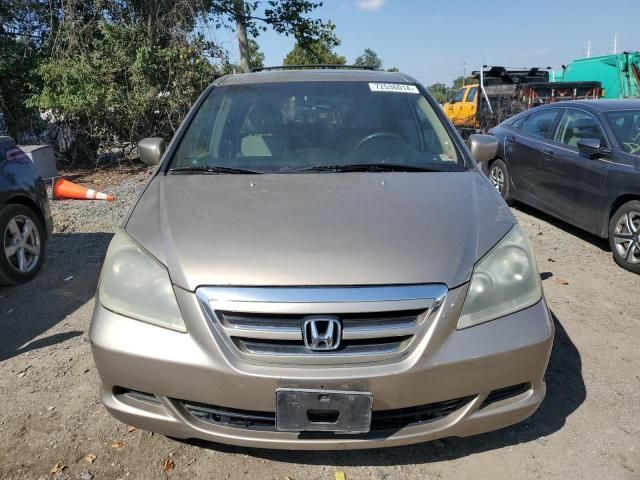 2005 Honda Odyssey EXL