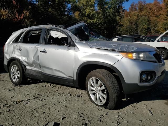 2011 KIA Sorento EX