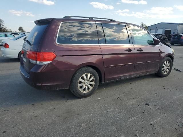 2010 Honda Odyssey EXL