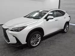 Lexus Vehiculos salvage en venta: 2022 Lexus NX 350H