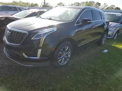 Cadillac xt5 Vehiculos salvage en venta: 2021 Cadillac XT5 Premium Luxury