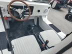 2021 Cruiser Rv Golfcart