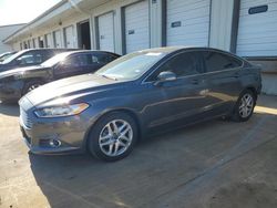 Salvage cars for sale at Louisville, KY auction: 2016 Ford Fusion SE