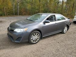 Salvage cars for sale at Cookstown, ON auction: 2014 Toyota Camry L