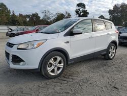 Salvage cars for sale at Hampton, VA auction: 2016 Ford Escape SE