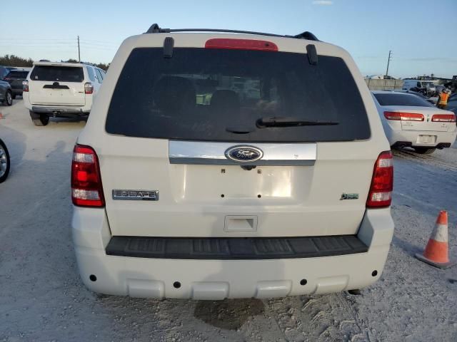 2011 Ford Escape Limited