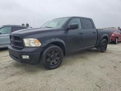 Dodge salvage cars for sale: 2009 Dodge RAM 1500