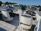 2013 Bayliner Boat