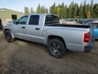 2007 Dodge Dakota Quattro