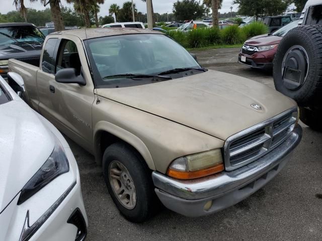 2002 Dodge Dakota SLT