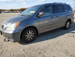 Salvage cars for sale from Copart Assonet, MA: 2010 Honda Odyssey EXL