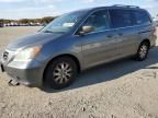 2010 Honda Odyssey EXL