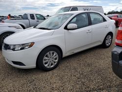 Salvage cars for sale at auction: 2010 KIA Forte EX