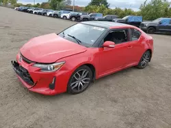 Salvage cars for sale at Montreal Est, QC auction: 2015 Scion TC