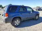 2007 Ford Escape XLT