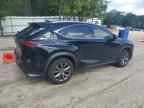 2020 Lexus NX 300 F Sport