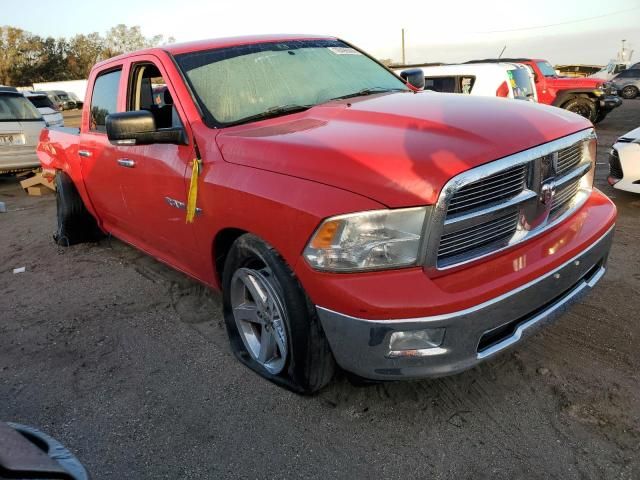 2010 Dodge RAM 1500