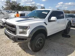 Salvage cars for sale at Arcadia, FL auction: 2018 Ford F150 Raptor