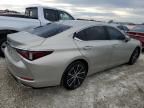 2024 Lexus ES 350 Base