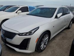 2024 Cadillac CT5 Premium Luxury en venta en Riverview, FL