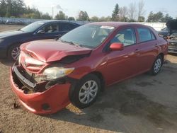 Salvage cars for sale from Copart Bowmanville, ON: 2011 Toyota Corolla Base