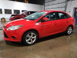 Salvage cars for sale at Blaine, MN auction: 2013 Ford Focus SE