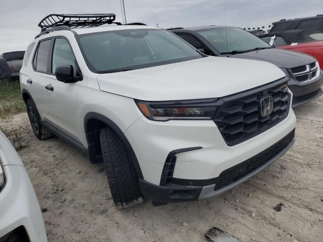 2024 Honda Pilot Trailsport