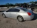 2007 Nissan Maxima SE