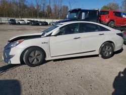 Hyundai Vehiculos salvage en venta: 2013 Hyundai Sonata Hybrid