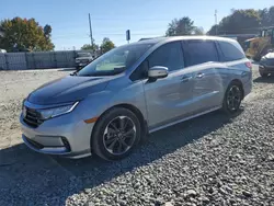 Salvage cars for sale at Mebane, NC auction: 2024 Honda Odyssey Elite