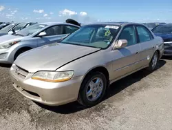 Salvage cars for sale at Riverview, FL auction: 2000 Honda Accord EX