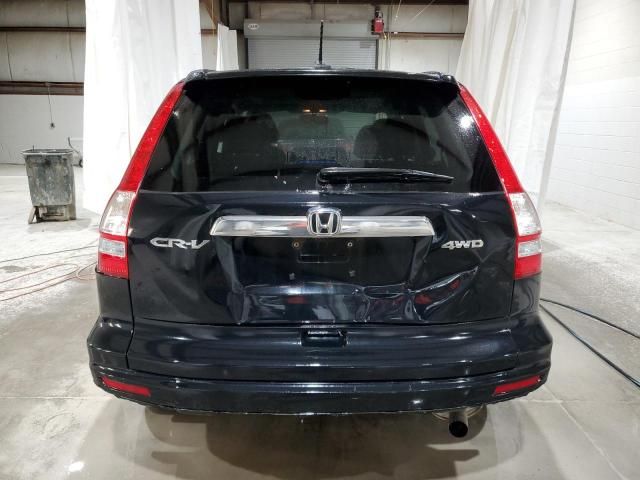 2010 Honda CR-V EXL