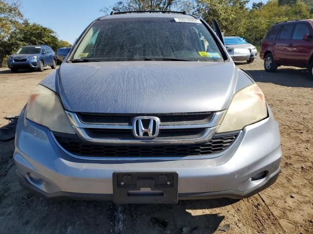 2010 Honda CR-V EXL