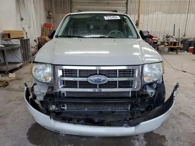 2008 Ford Escape XLT